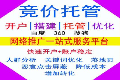 Sem优化公司案例：打造高效广告投放策略